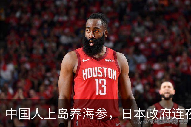 中国人上岛养海参，日本政府连夜破大防！