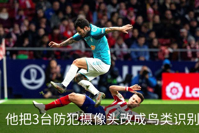 他把3台防犯摄像头改成鸟类识别器，结果连邻居放屁都被记录