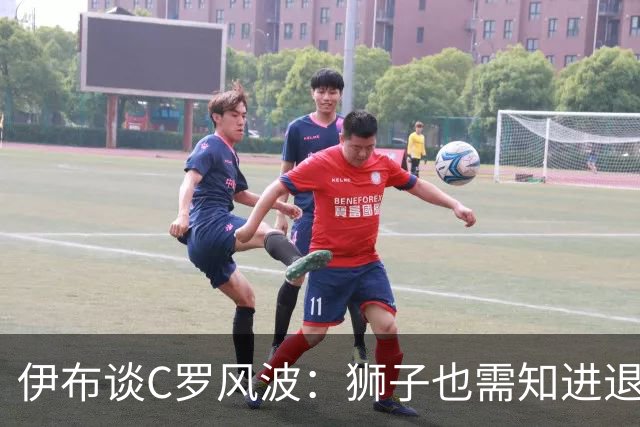 伊布谈C罗风波：狮子也需知进退，接受替补是传奇要面对的竞技真相