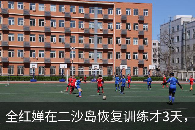 全红婵在二沙岛恢复训练才3天，陈芋汐一段访谈口碑瞬间飙升