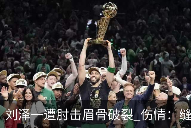 刘泽一遭肘击眉骨破裂 伤情：缝30多针+伤停2周！