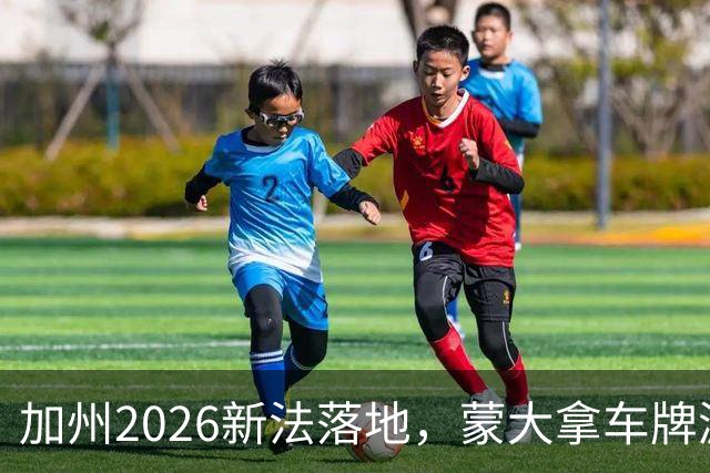 加州2026新法落地，蒙大拿车牌漏洞还能钻吗？
