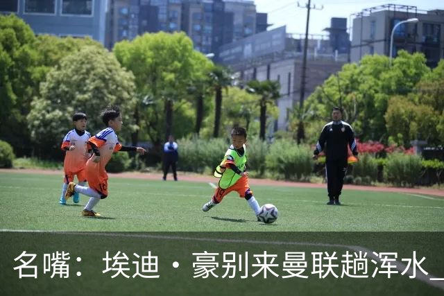 名嘴：埃迪·豪别来曼联趟浑水 不该由卡里克背黑锅