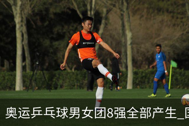 奥运乒乓球男女团8强全部产生 国乒男队将战韩国