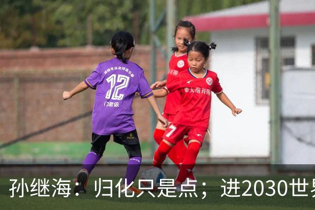 孙继海：归化只是点；进2030世界杯不代表重新振作