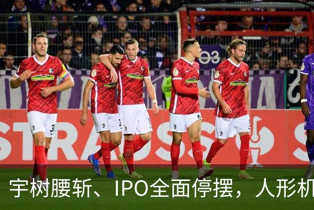 宇树腰斩、IPO全面停摆，人形机器人泡沫破了？