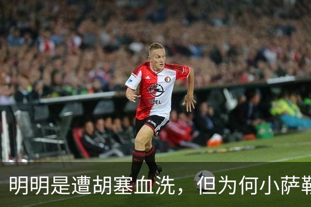 明明是遭胡塞血洗，但为何小萨勒曼死盯着的，却是沙特王室？