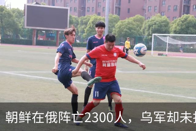 朝鲜在俄阵亡2300人，乌军却未找到一具尸体！这才是乌军厉害之处