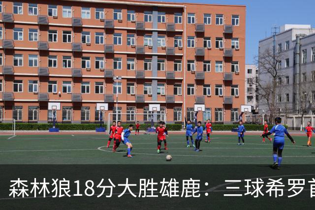 森林狼18分大胜雄鹿：三球希罗首秀均11分 华子14分三分7中1