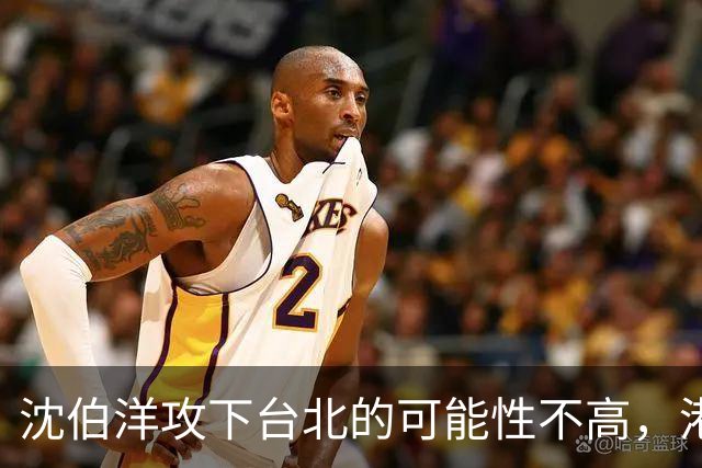 沈伯洋攻下台北的可能性不高，港媒：卢秀燕接任蒋万安竞总主委，风险不高利益不小
