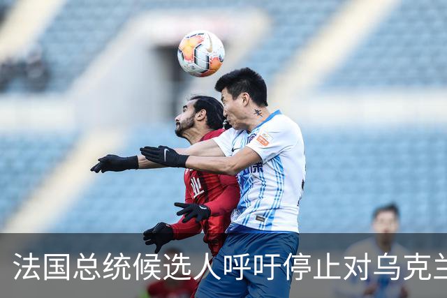 法国总统候选人呼吁停止对乌克兰的所有援助，并退出欧盟