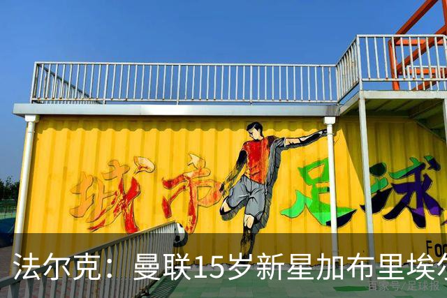 法尔克：曼联15岁新星加布里埃尔被曝将离队，拜仁等四家俱乐部有意