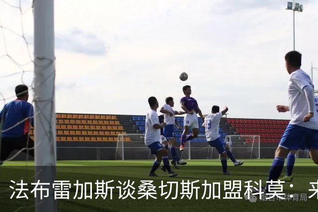 法布雷加斯谈桑切斯加盟科莫：来自重要球队，我们一开始没预料到