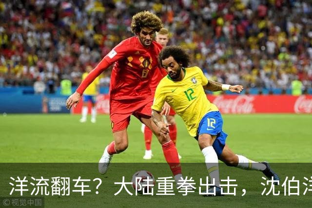 洋流翻车？大陆重拳出击，沈伯洋支持者、亲属被严厉制裁！