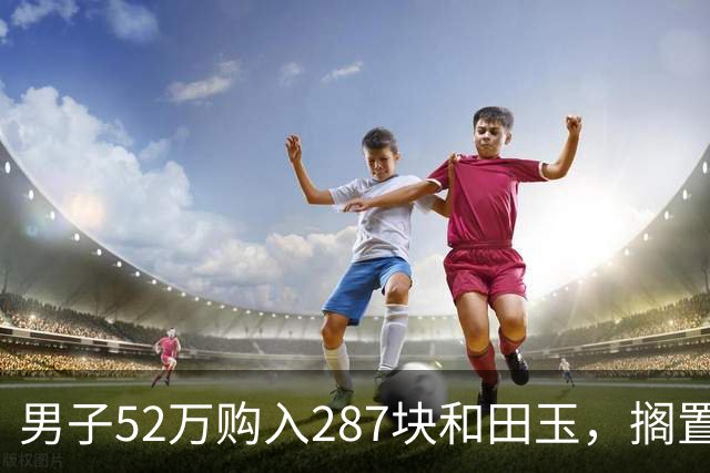 男子52万购入287块和田玉，搁置12年后，急用钱才发现其真实价值