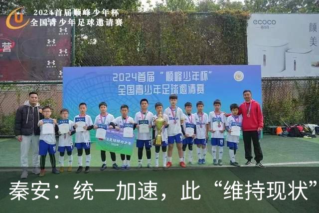 秦安：统一加速，此“维持现状”，不是彼“维持现状”，绝对不能允许玩文字游戏！