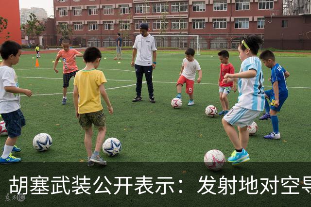 胡塞武装公开表示：发射地对空导弹成功击中了沙特一架“台风”战斗机；英国军事专家称：胡塞武装不是“拖鞋军”，他们实际上是作战高手
