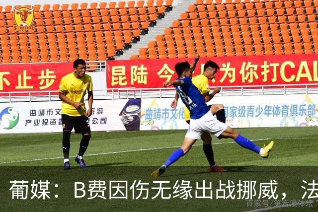 葡媒：B费因伤无缘出战挪威，法比奥-席尔瓦再次落选比赛名单