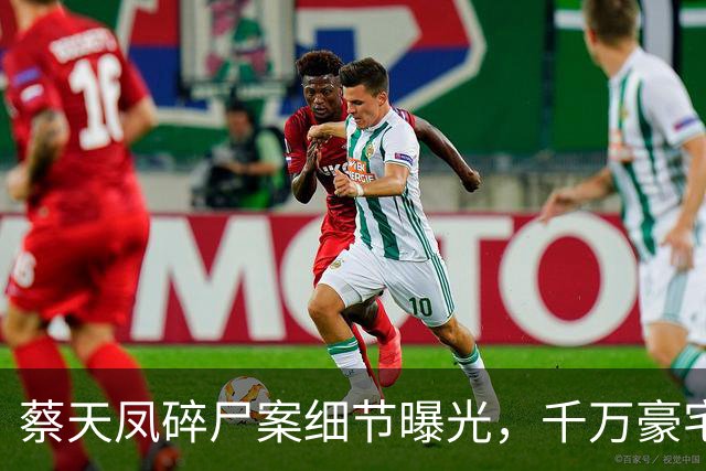 蔡天凤碎尸案细节曝光，千万豪宅为何引发血色纠葛