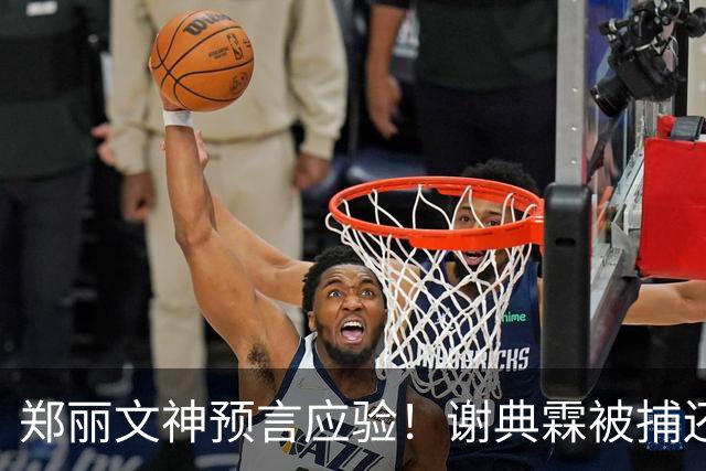 郑丽文神预言应验！谢典霖被捕还有内幕？王惠美或也要小心