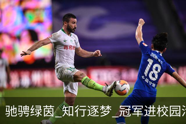 驰骋绿茵 知行逐梦 冠军进校园活动走进济源