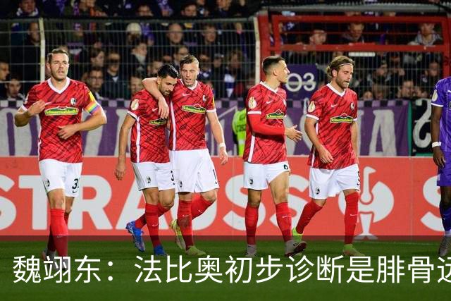 魏翊东：法比奥初步诊断是腓骨远端骨折 常规养伤时间可能要3个月