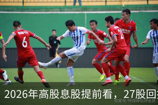 2026年高股息股提前看，27股回报超4%，社保险资同时重仓4股（附名单）